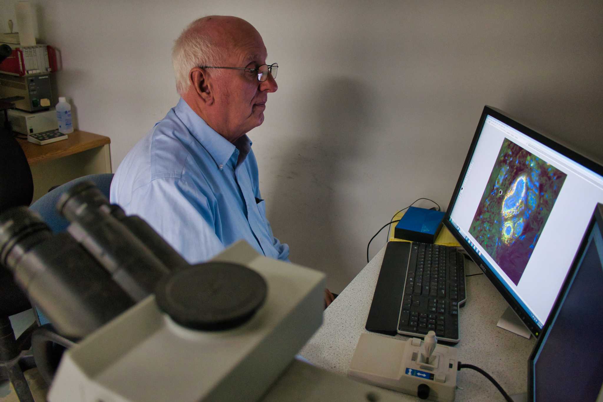 Rensselaer scientists looking to start clinical trial on concept that could potentially treat long COVID symptoms - Vimarsana News