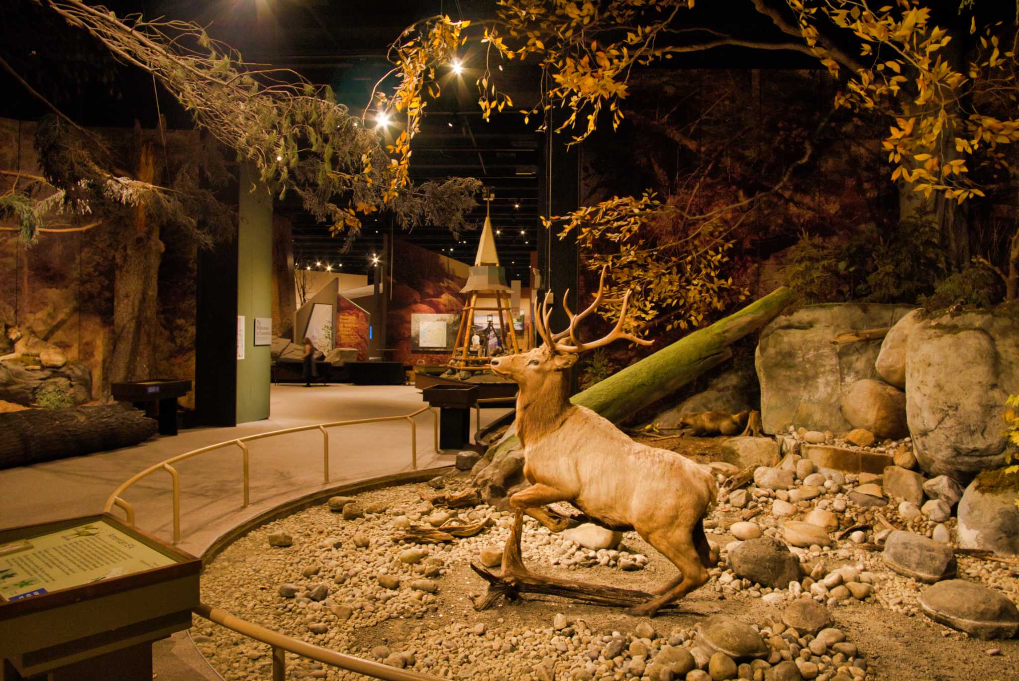 New York State Museum plans to renovate and update exhibits