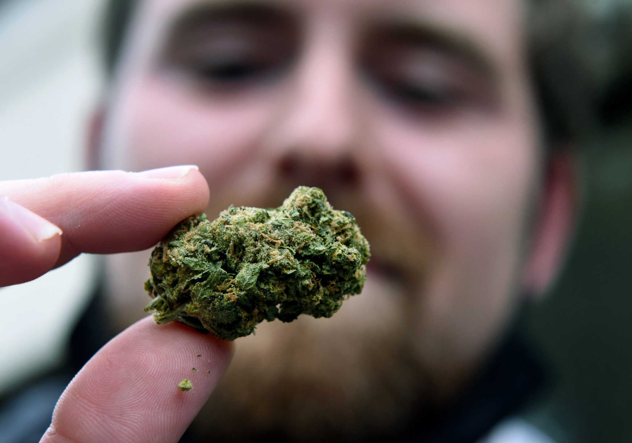 Marijuana sales approved at Guilderland location
