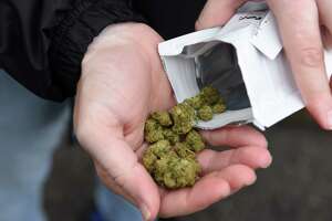 Medical firms may wait three years to open recreational pot shops