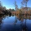 A photo shows the 4-acre lake at Indian Springs Campground and RV Park in Kountze before Harvey's damage. The lake and surrounding forest were flooded during Tropical Storm Harvey, and a year later the water was inundated with weeds that washed into the lake. Ultimately, owner Ronnie Stockholm was forced to drain the lake and will have to dig out the basin and rebuild the lake anew. Photo provided by Ronnie Stockholm