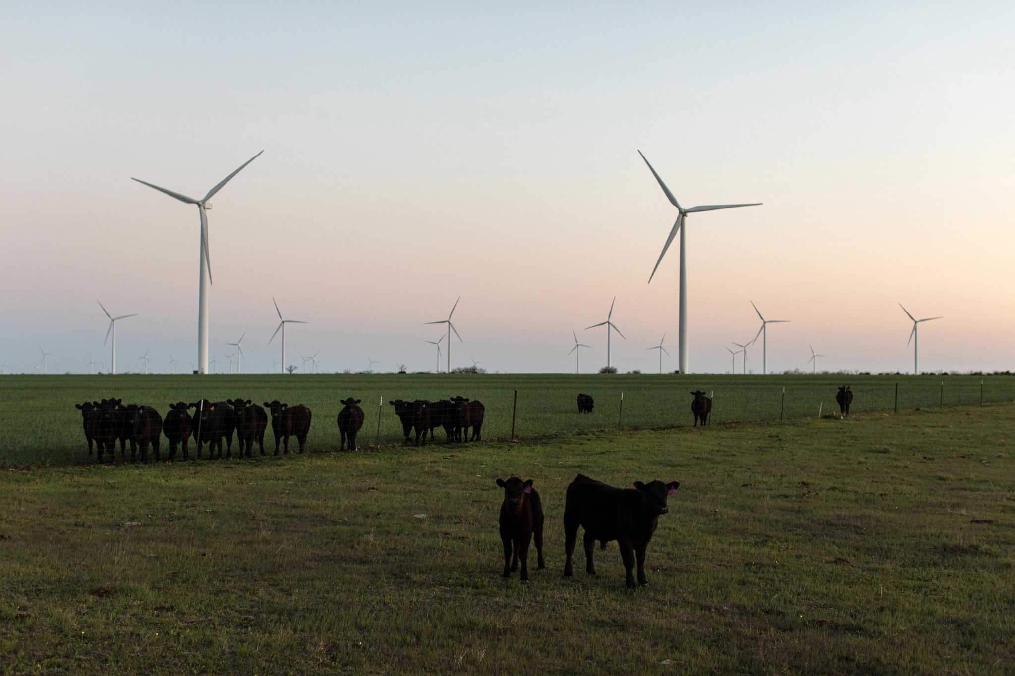 Texas leads country in existing and new clean energy projects