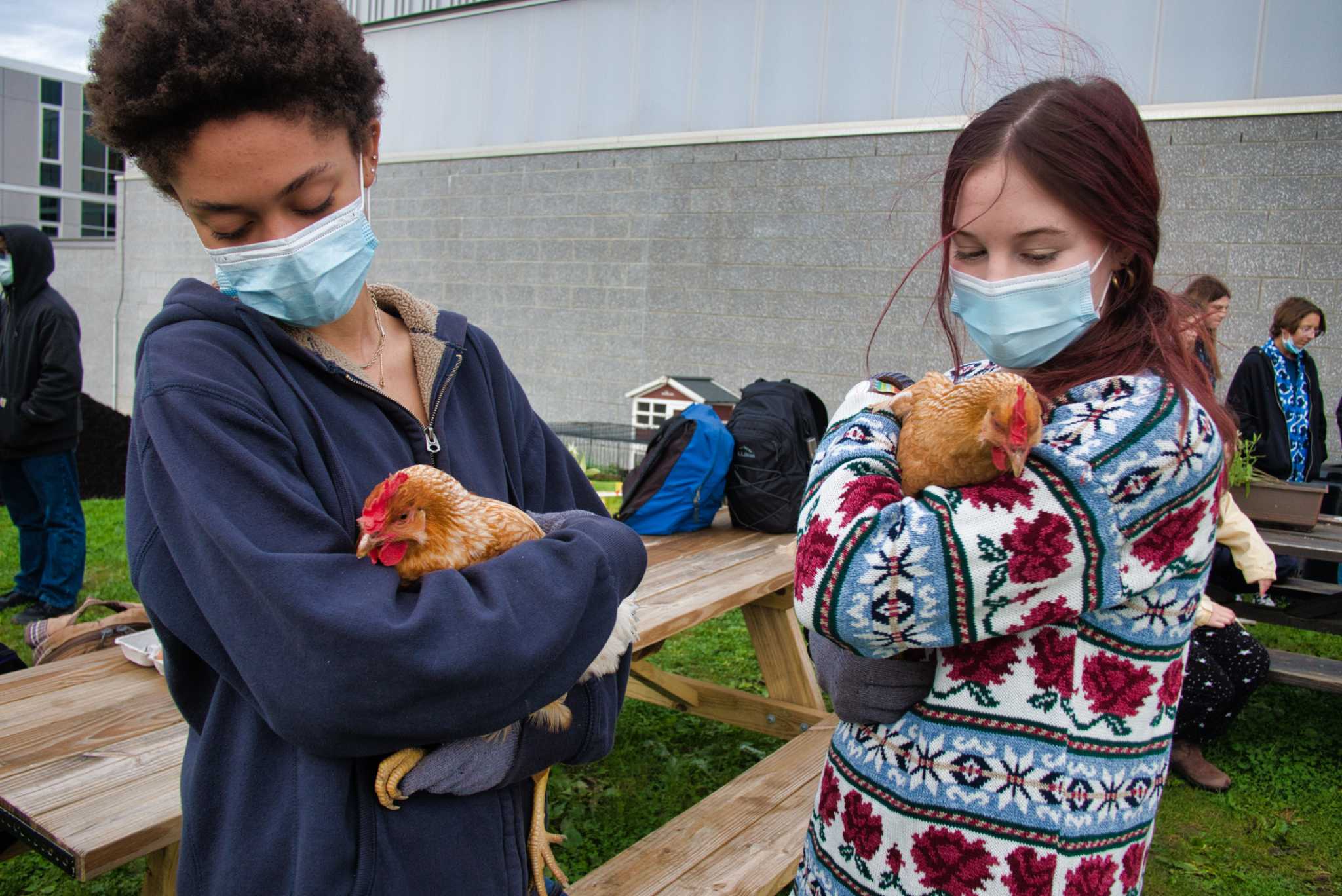 How gardening helps Albany teens heal, reconnect after year apart - Vimarsana News
