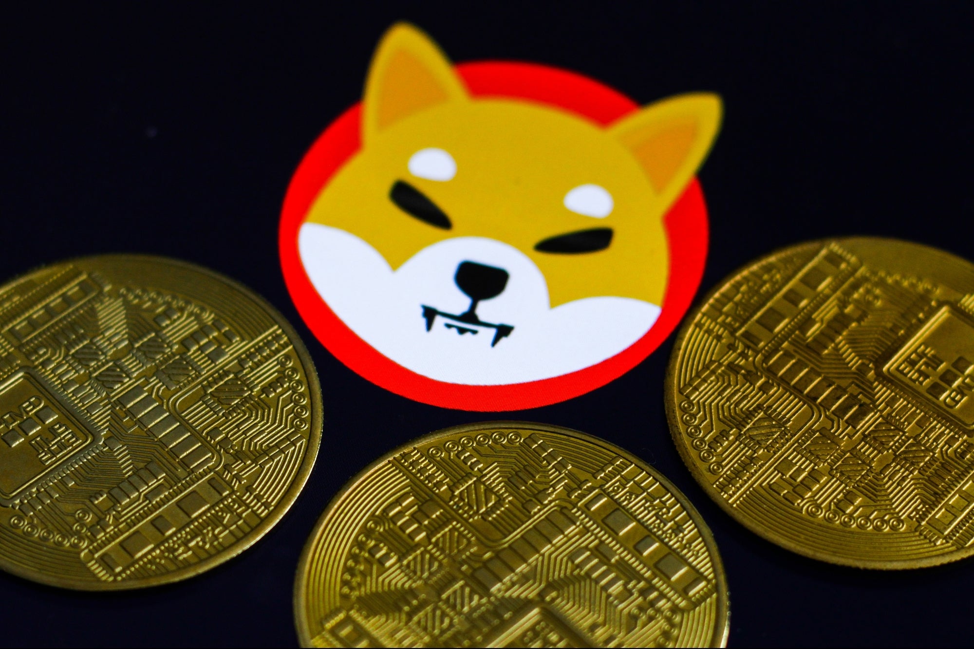 The Greatest Trade of All Time 13 000 Worth of Shiba Inu Coin