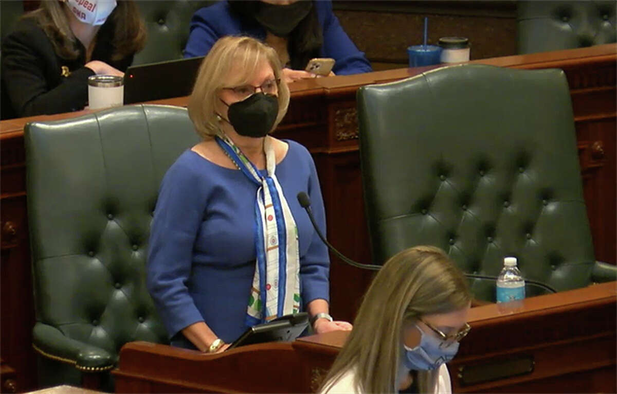 Rep. Robyn Gabel, D-Evanston, speaks on the House floor Wednesday during debate on her bill to change the Health Care Right of Conscience Act.