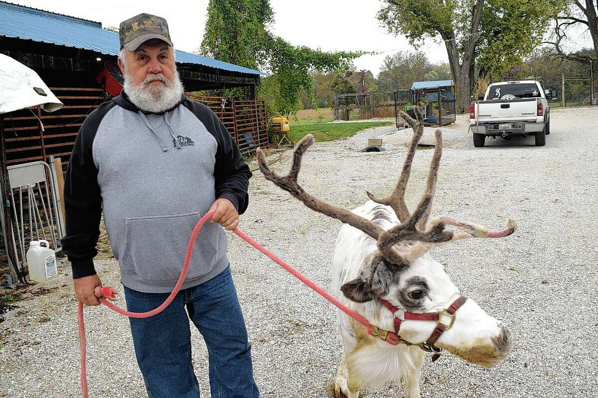 Ed Nolan has been providing reindeer for Christmas events for 30 years. Now, he’ll be focusing on his petting zoo and Nativity scene and taking care of Prancer, the only reindeer he will be keeping at his farm in Carrollton. 