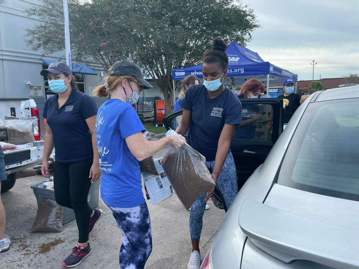 Houston shelter partners with DoorDash for pet food delivery