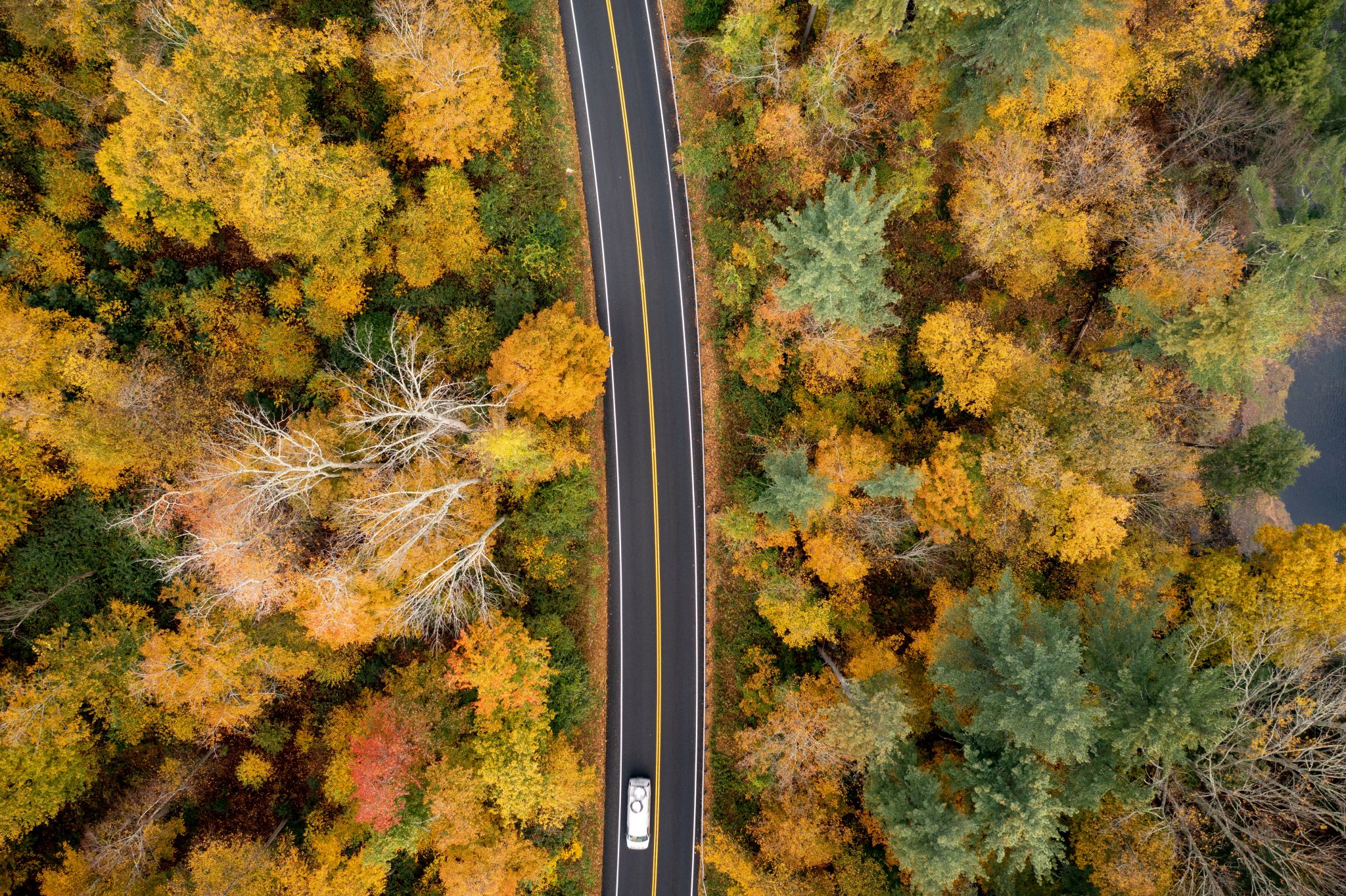 Here's when fall foliage will hit its peak in Connecticut in 2022 - Vimarsana News