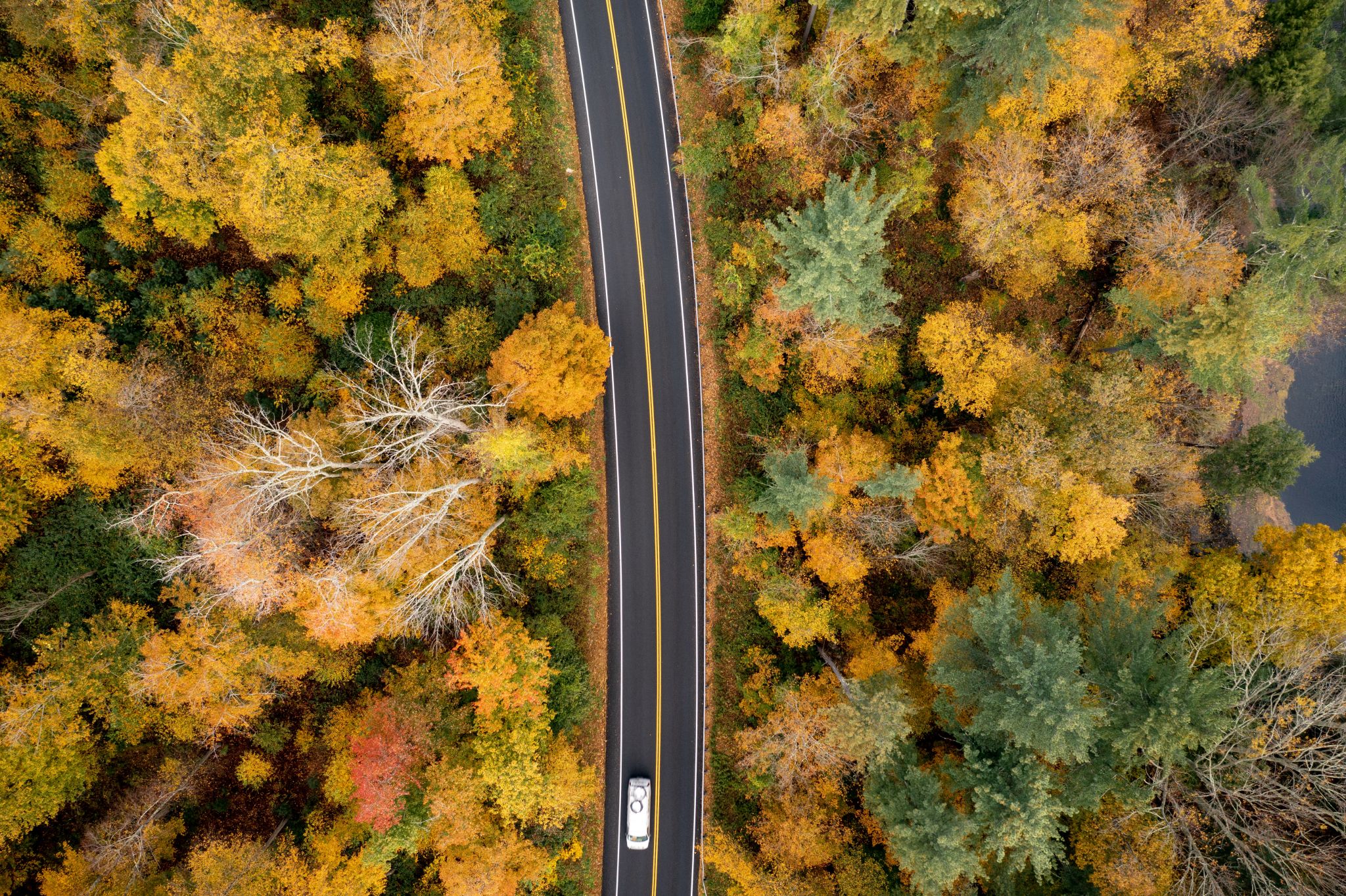 here-s-when-fall-foliage-will-hit-its-peak-in-connecticut-in-2022