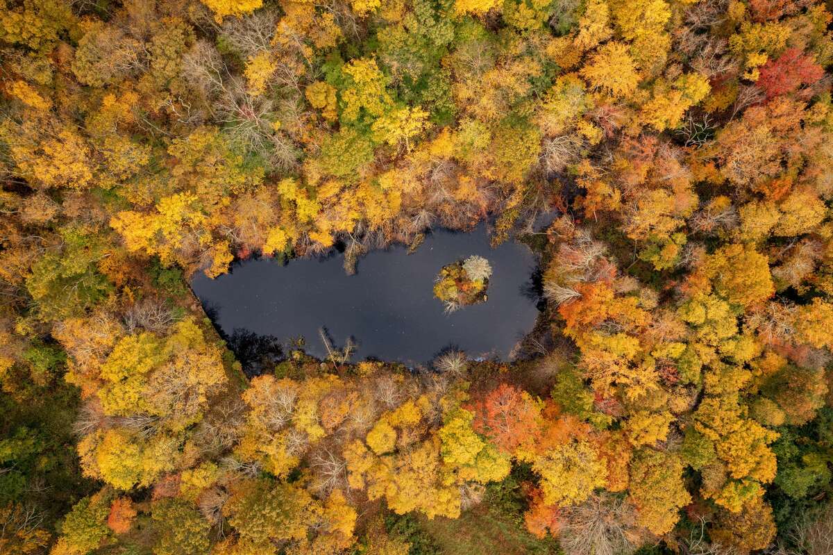 CT foliage report: where and when to see changing fall colors