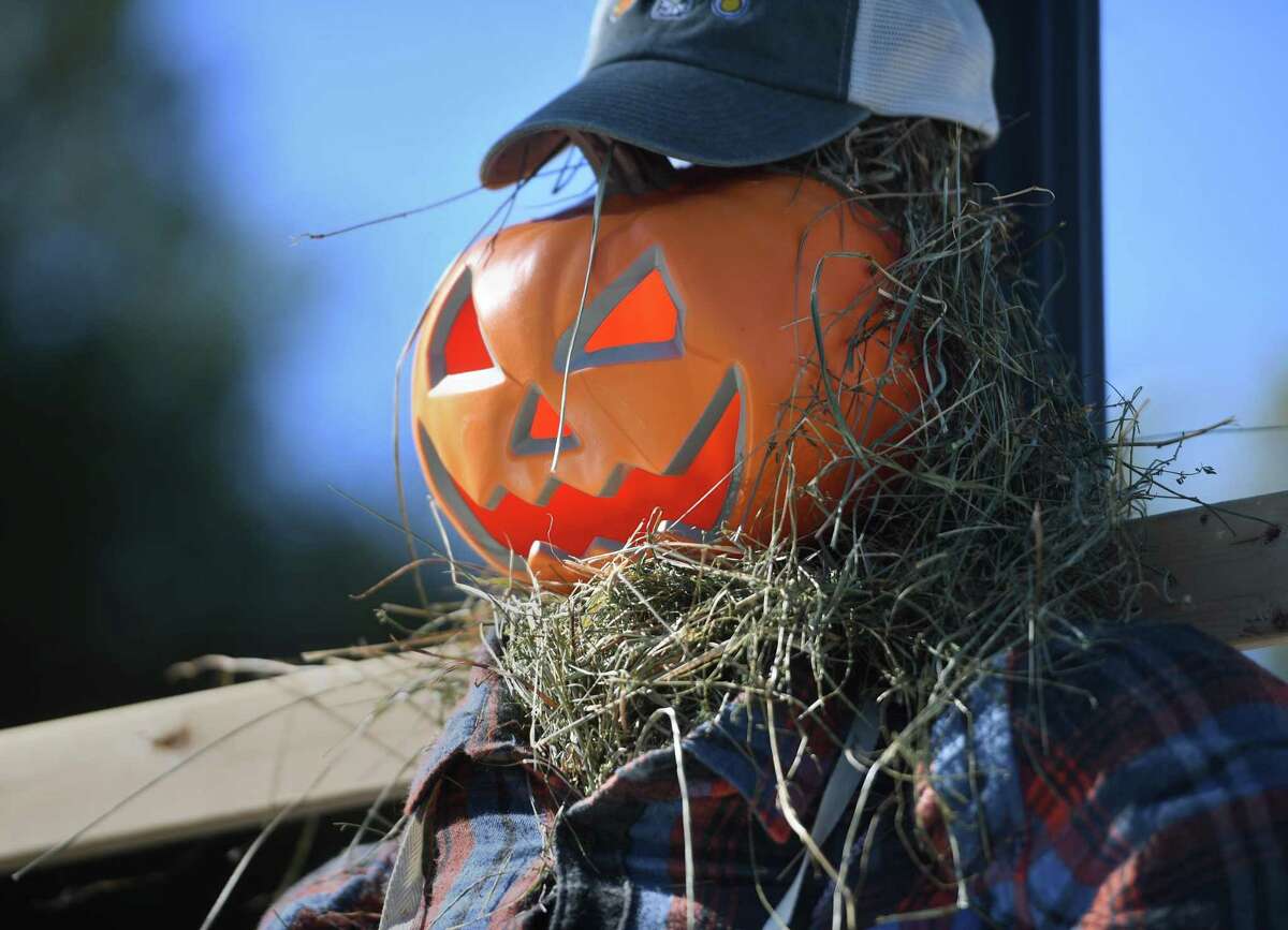 Scarecrows decorate every lightpole for the Downtown Milford Association's first annual scarecrow fest on Broad Street in Milford on Tuesday, October 19.