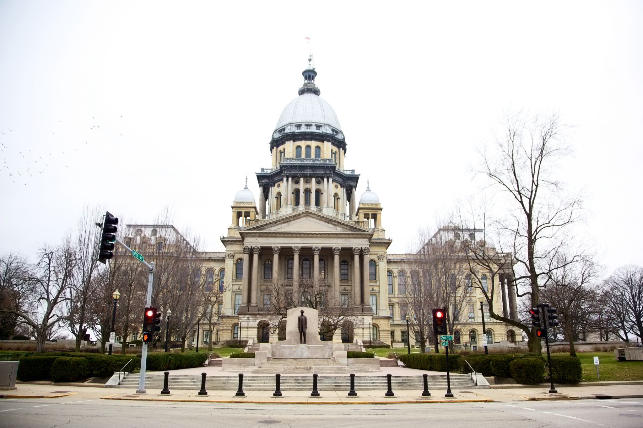 Here is a roundup of resolutions introduced to the Illinois General