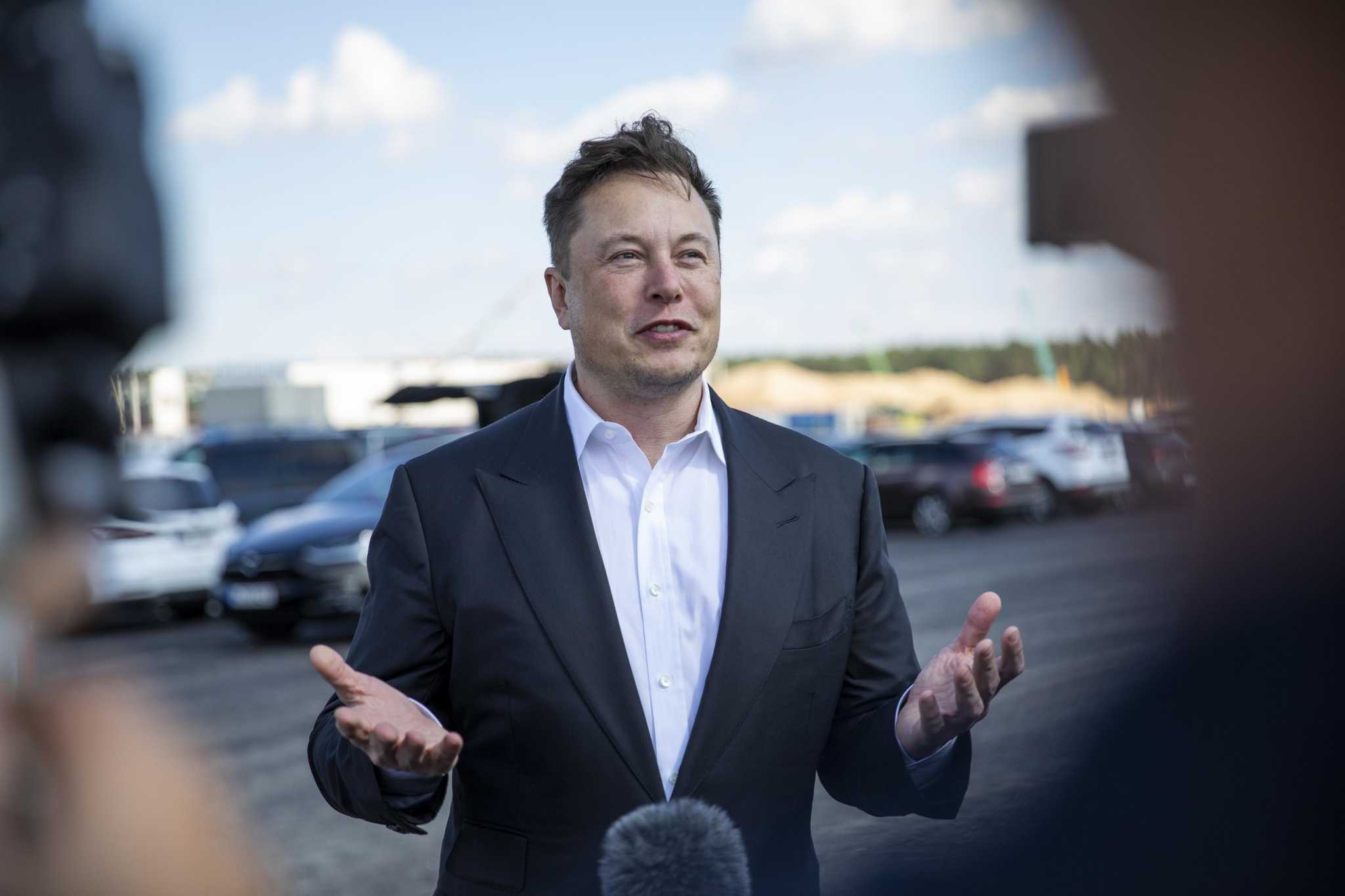 Elon Musk's late-night Twitter musing: Start a Texas technology and science university with a vulgar acronym - Vimarsana News