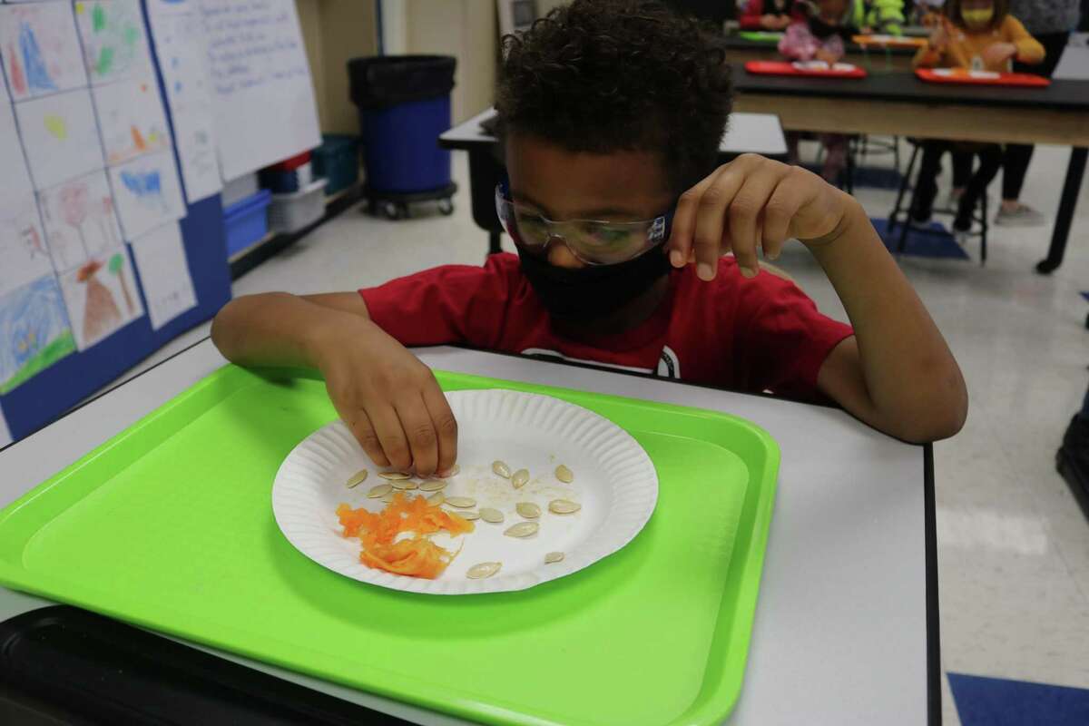Students at Meadowside develop their observations skills during a STEM labs lesson. They compared their observations from the outside of a pumpkin to the inside of a pumpkin.