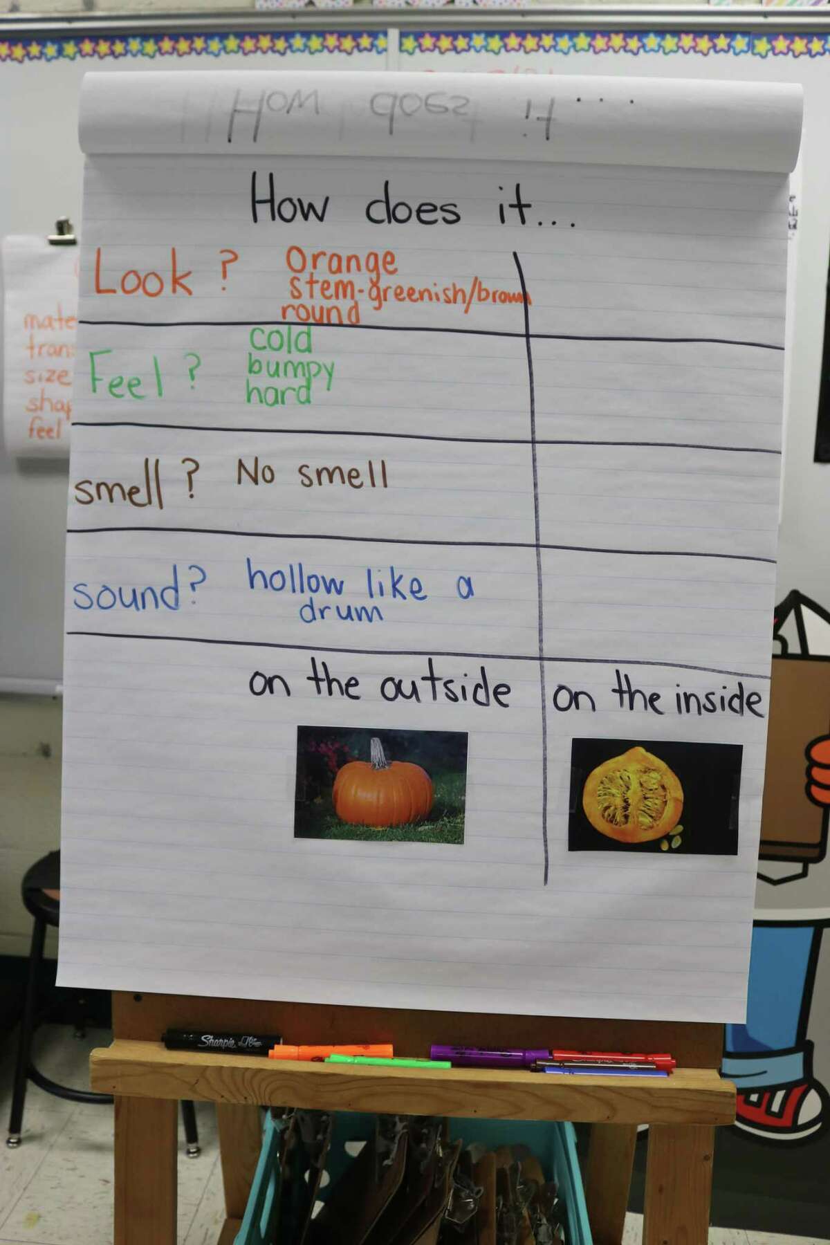 Students at the Meadowside STEM lab continue their lesson of developing their observations skills using pumpkins. Students compared observations made from the outside and inside of the pumpkin.
