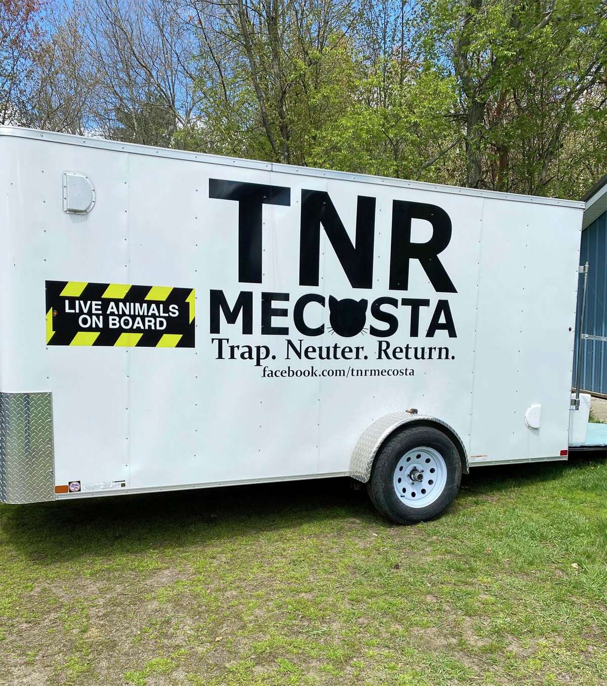 TNR Mecosta keeps feral cat colonies in check by trapping, neutering and returning them. (Courtesy photo/TNR Mecosta)