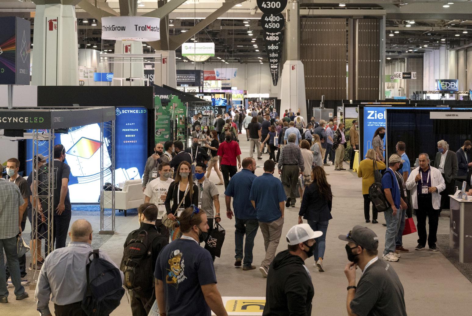 As S.F. lags, Las Vegas tourism roars back, with help from weed and the Raiders - Vimarsana News