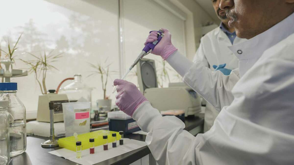 Stanford scientists Ramasamy Paulmurugan (foreground) and Dr. Tarik Massoud prepare bottles containing nanoparticles that will go into vaccine doses.