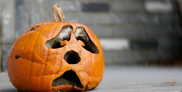 What Should You Do With Rotting Pumpkins?