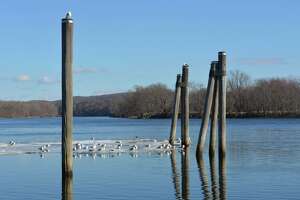 Rocky Hill-Glastonbury Ferry begins operations a month late