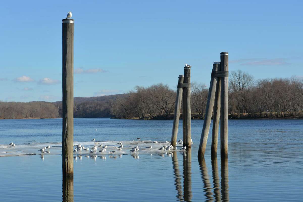 Rocky HillGlastonbury Ferry on the CT River opens a month late due to mechanical issues