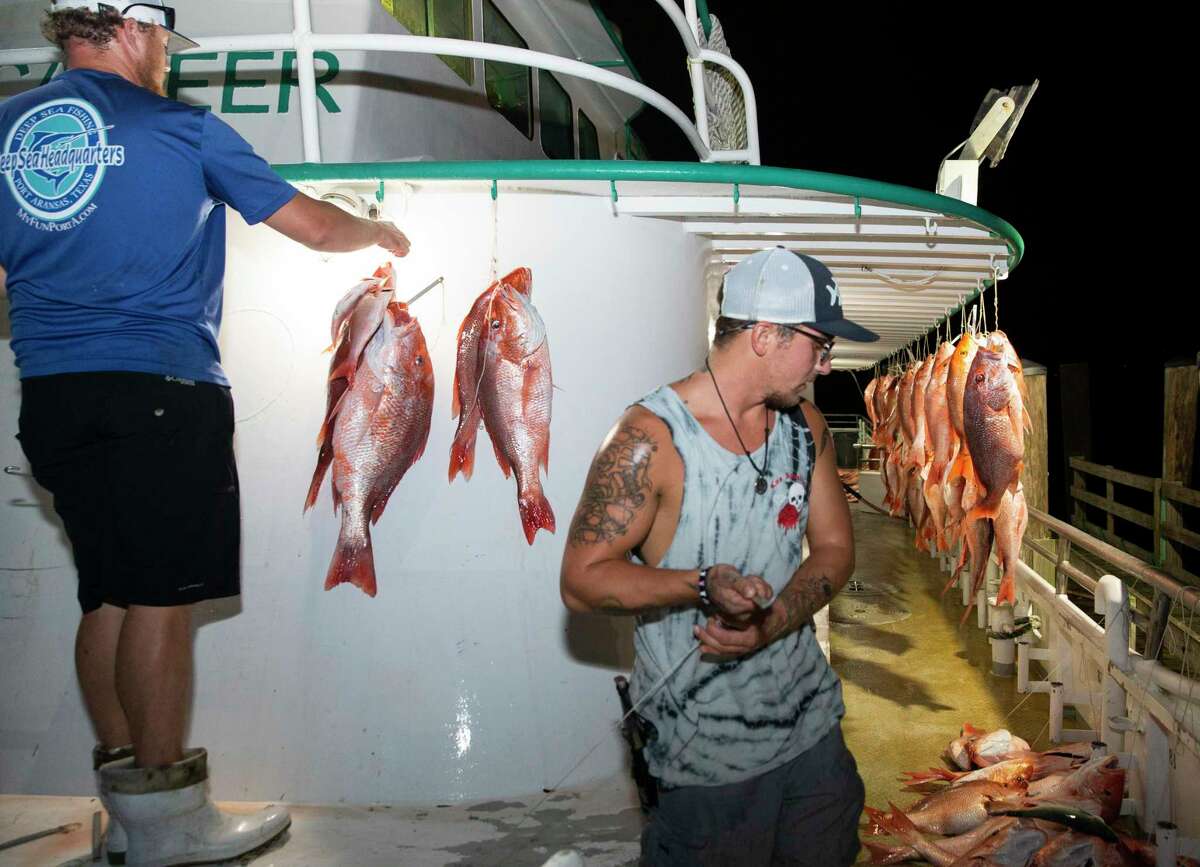 Too many fish you aren't allowed to catch? Why Gulf red snapper season