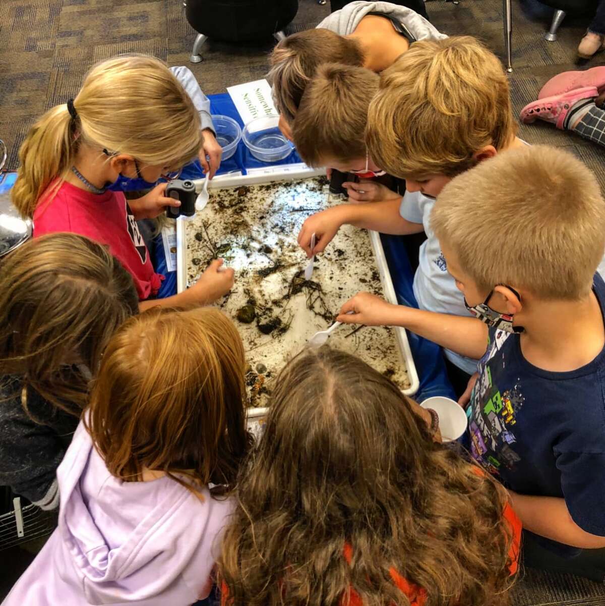 Fifth grade students of Onekama Consolidated Schools sort through macroinvertebrates in a stream sample during a visit from Manistee Conservation District conservation technician Chelsea Cooper on Oct. 25.