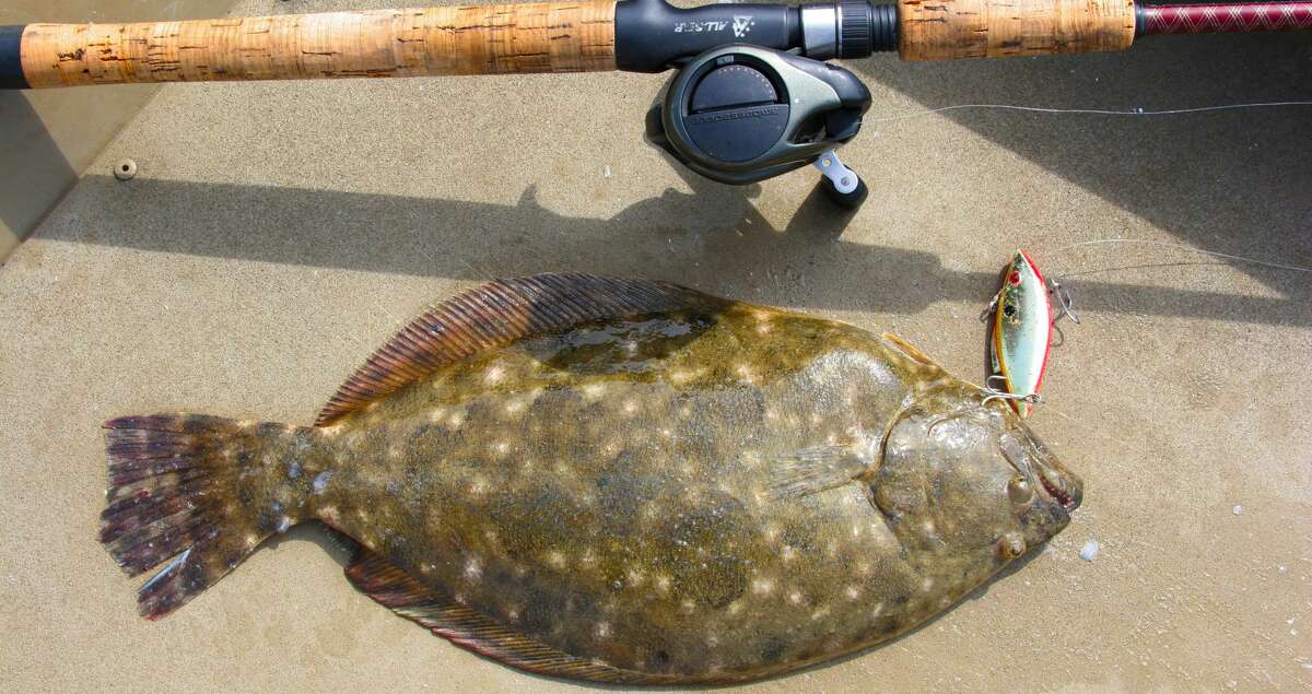 Texas Flounder Limit