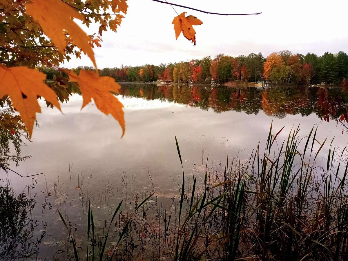 Bright orange leaves contrast the morning calm on Whalen Lake.