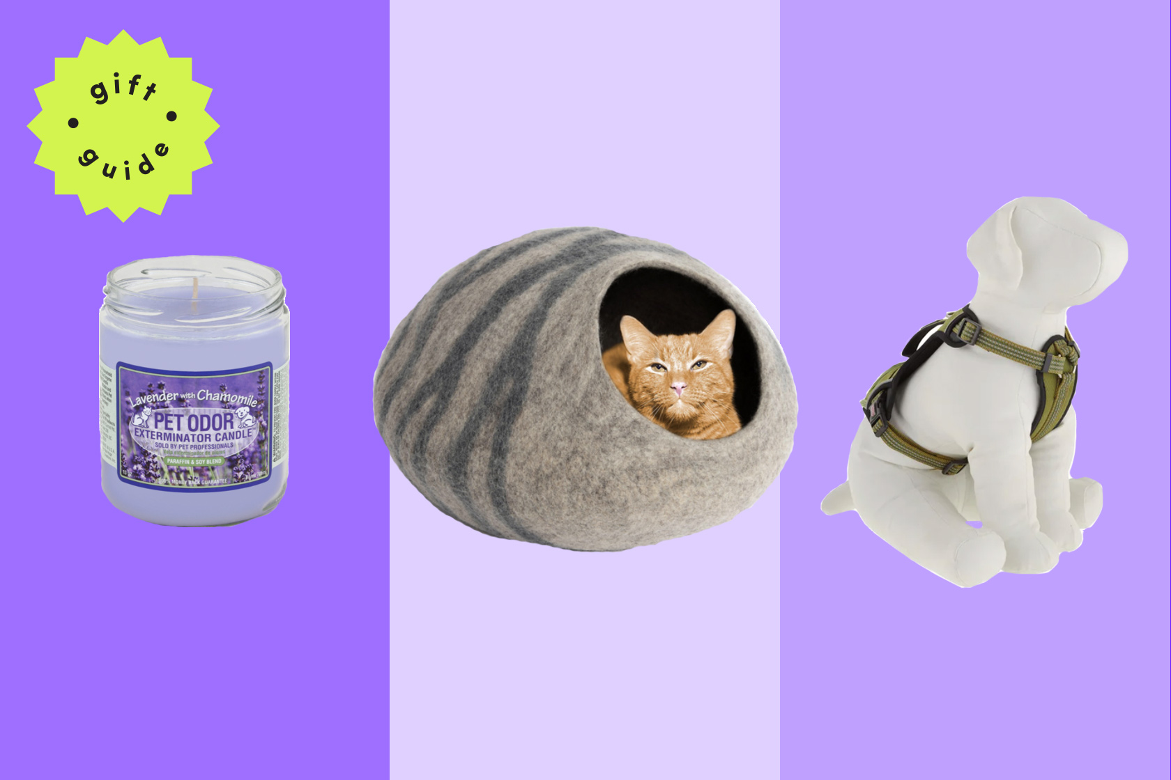 25 products that pet parents actually need - Vimarsana News