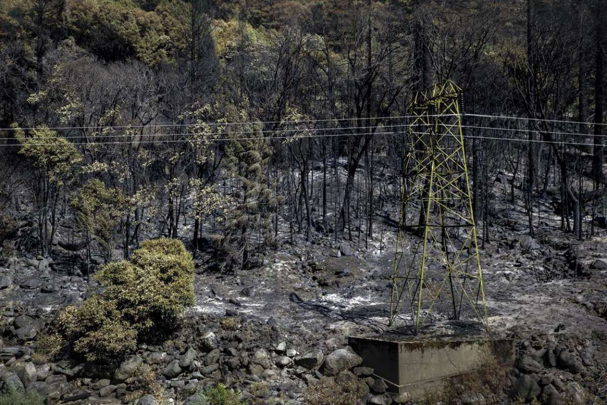 A transmission tower stands against a backdrop of burned and blackened forest in Plumas County on Aug. 14. The Dixie Fire eventually burned 963,309 acres over more than three months.