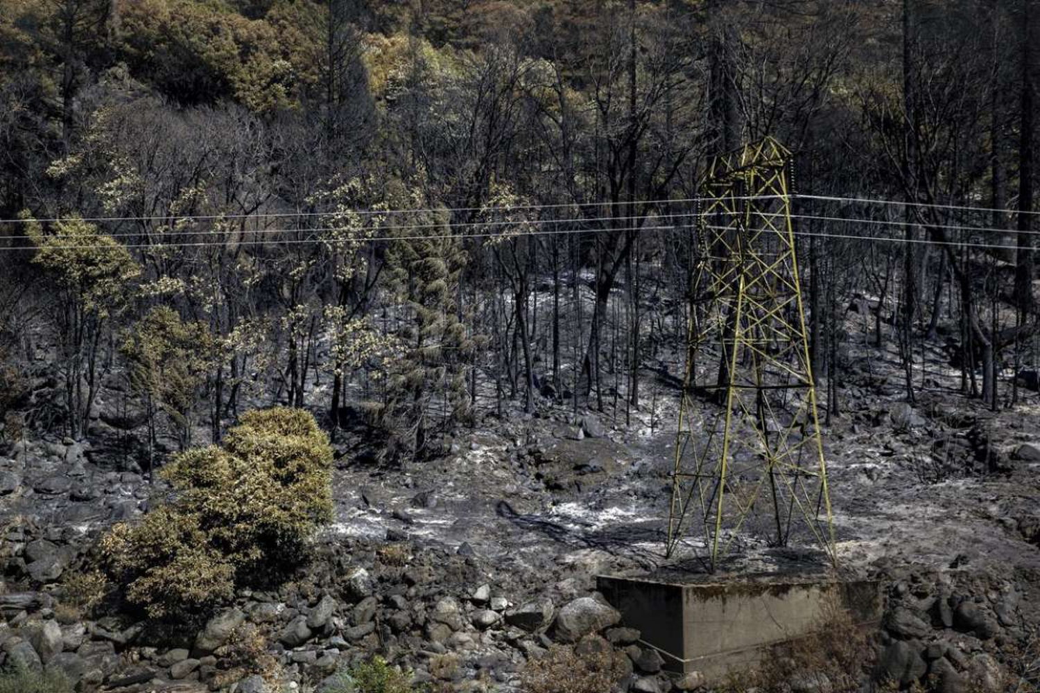 Federal investigation into giant Dixie Fire worsens PG&E legal problems