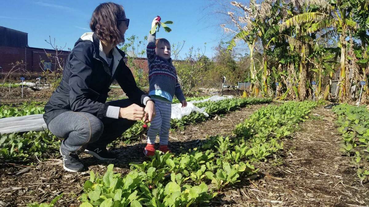Houston East End urban farm Finca Tres Robles is pausing its field operations at the end of 2021 and expanding to a new, permanent location next year.