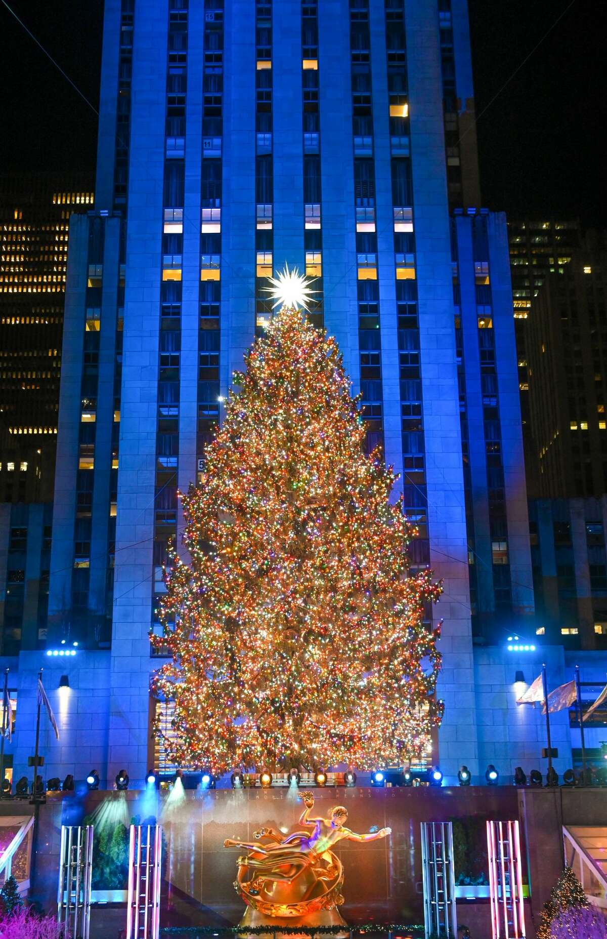 The 2020 Rockefeller Center Christmas tree came from Oneonta in New York State.