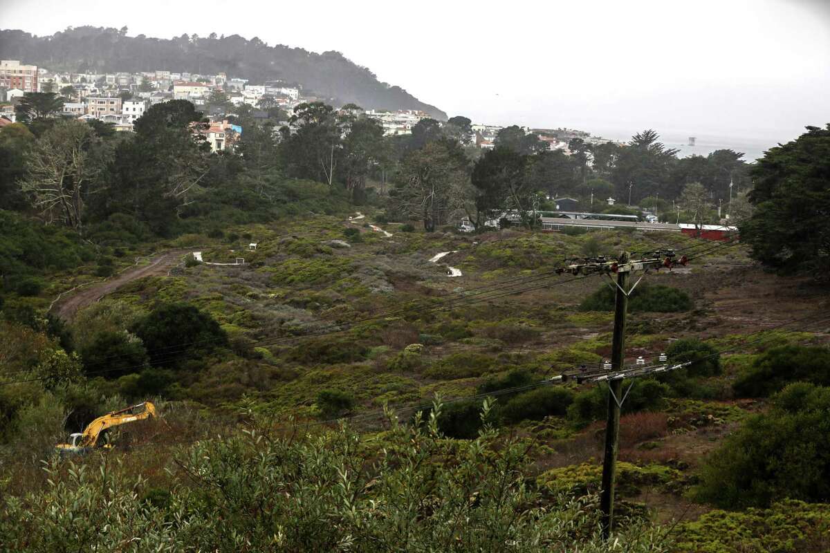 Lobos Creek runs through a restored coastal dune landscape on what was once a military ballfield and helicopter pad. The creek is both a crucial water source for San Franciscans and important habitat for native species.