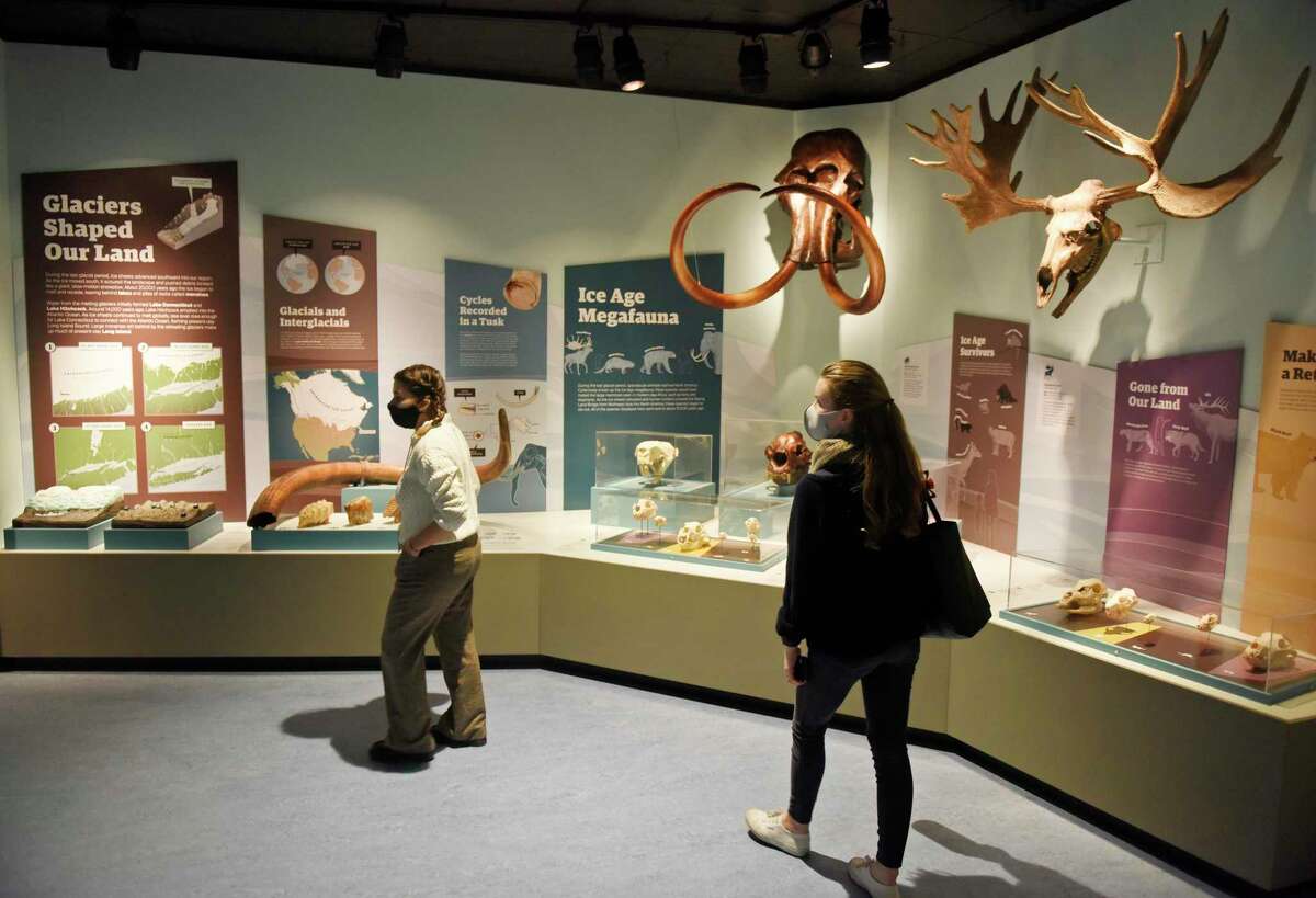 Bruce Museum Assistant to the Managing Director Rebecca Mesonjnik, left, and Development Department Assistant Lauren Wyman walk through the newly redesigned science and natural history collection at the Bruce Museum in Greenwich, Conn. Wednesday, Nov. 3, 2021. The Bruce Museum is opening two new exhibitions on Nov. 7. "Resolute: Native Nations Art in the Bruce Collection" features significant objects that provide new information about Native Nations as historical and contemporary societies."The Fisher Dollhouse: A Venetian Palazzo in Miniature" features miniature renderings of 10 rooms inside a diorama inspired by Venice's glamorous Gritti Palace.