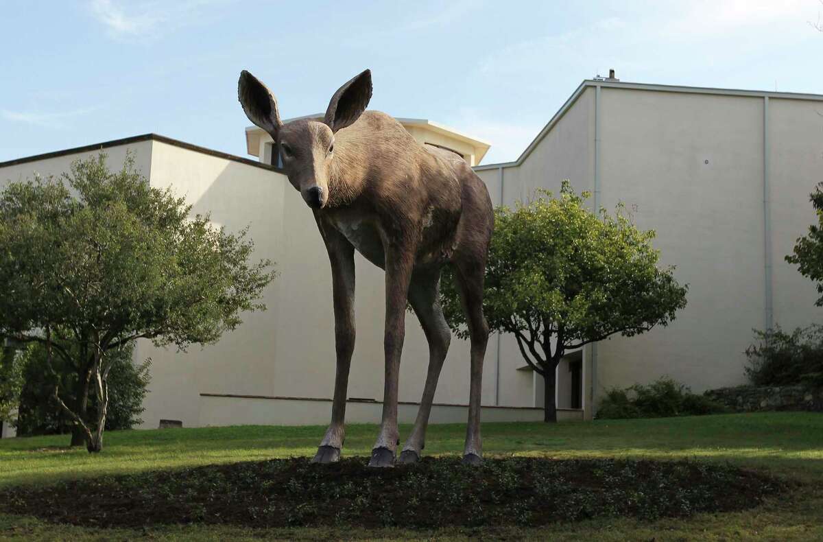 Artist Tony Tasset's sculpture "Deer" looms large on the grounds of the McNay Art Museum. It is one of four outdoor artworks installed while the grounds were being renovated.