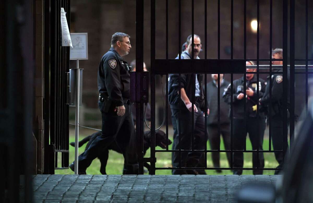 Police with explosive dogs walk through Old Campus in New Haven following a bomb threat on November 5, 2021.