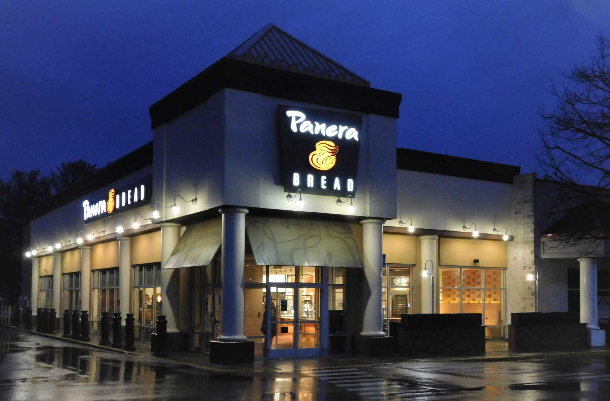Shelton P&Z opens door for Dogtopia - Vimarsana News