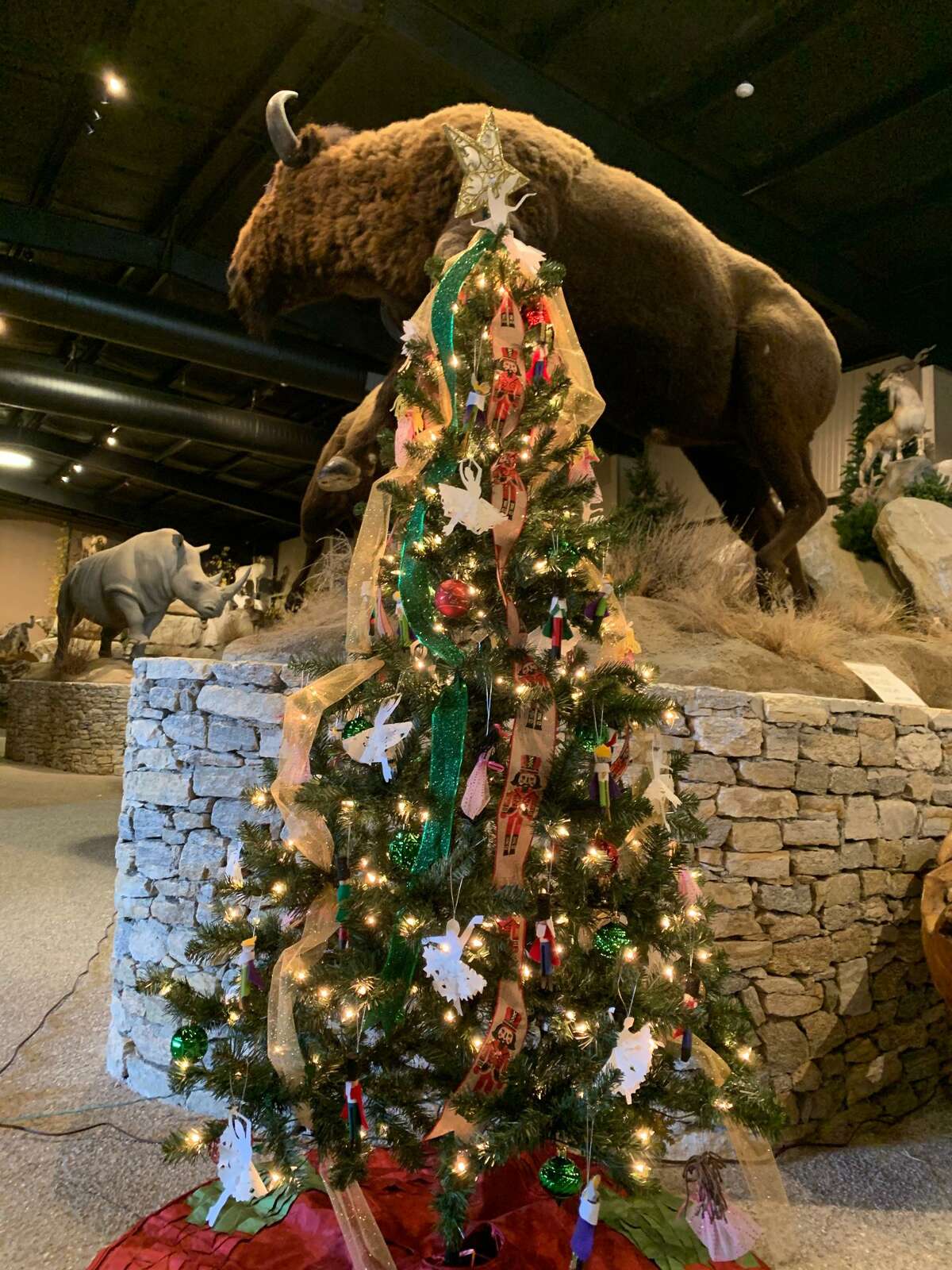 Torrington Christmas Tree 2022 Torrington School To Hold 'Christmas A-Glow' Fundraiser At Action Wildlife,  Goshen