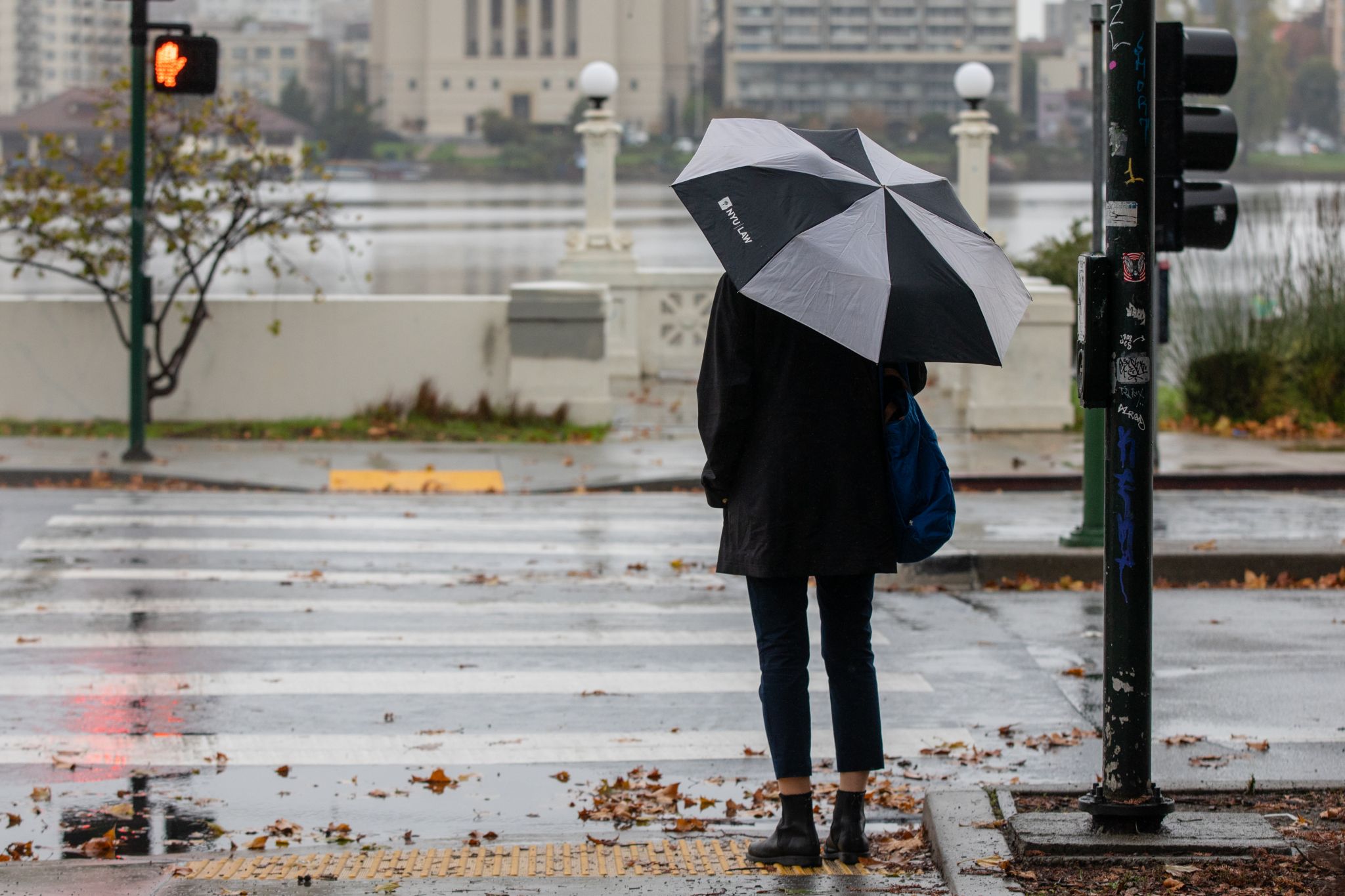 Rain Rain (entertainer)