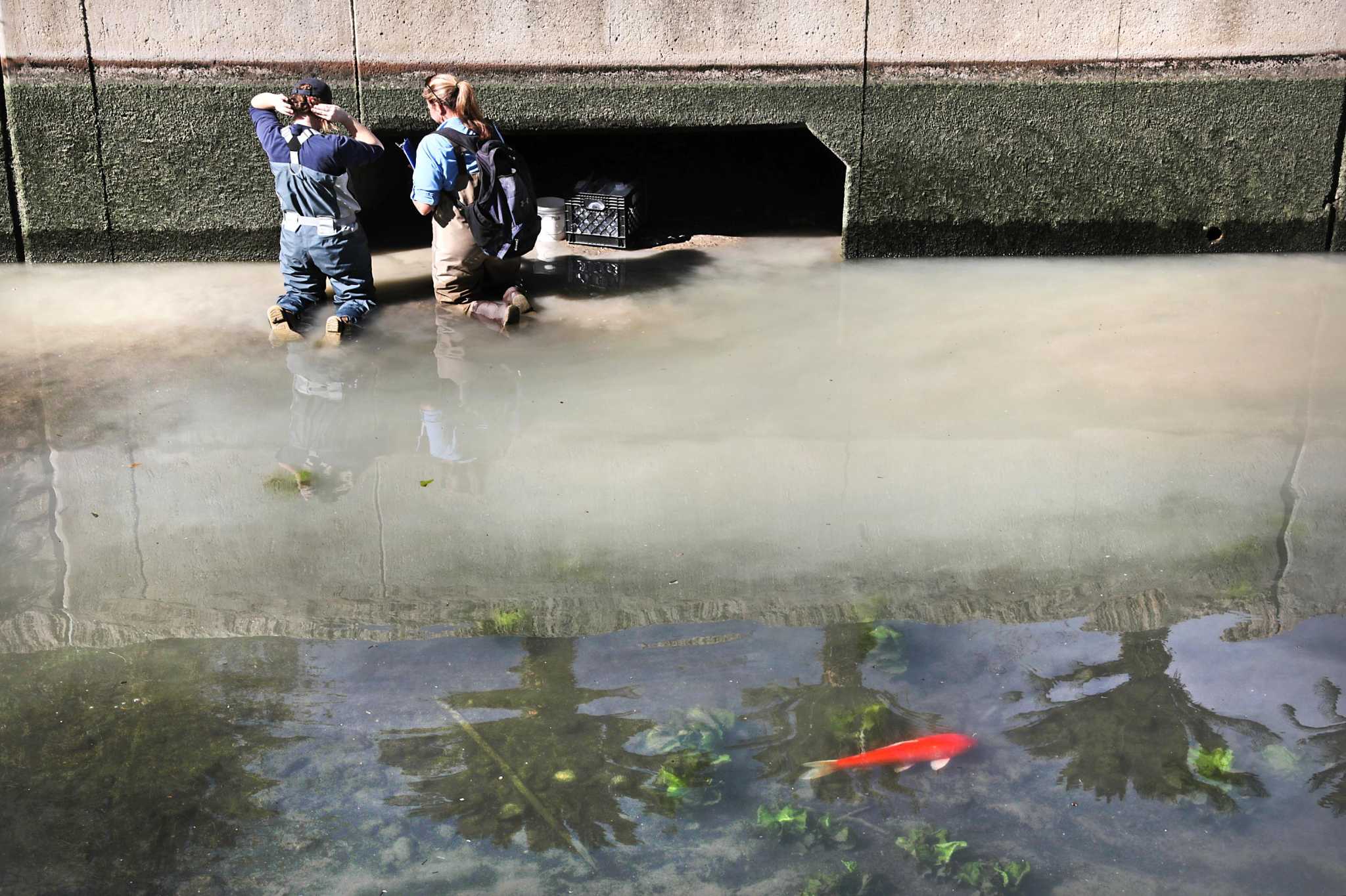 Sections Of The San Antonio River Along The River Walk To Be Drained   RawImage 