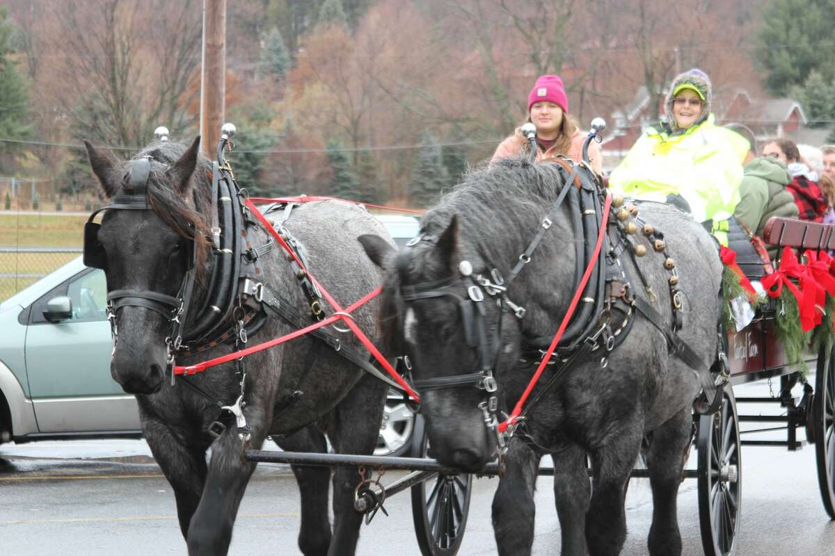 Horse drawn carriage rides from Fantail Farms are part of the Holly Berry Arts and Crafts event at Frankfort High School. 