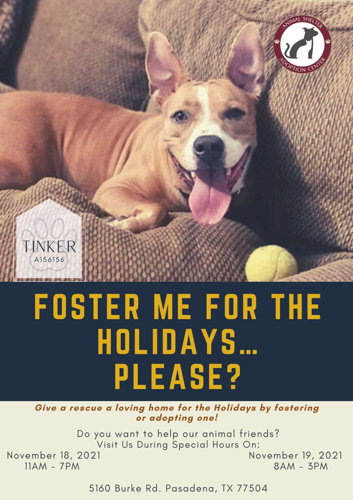 What Is Dog Shelter Called
