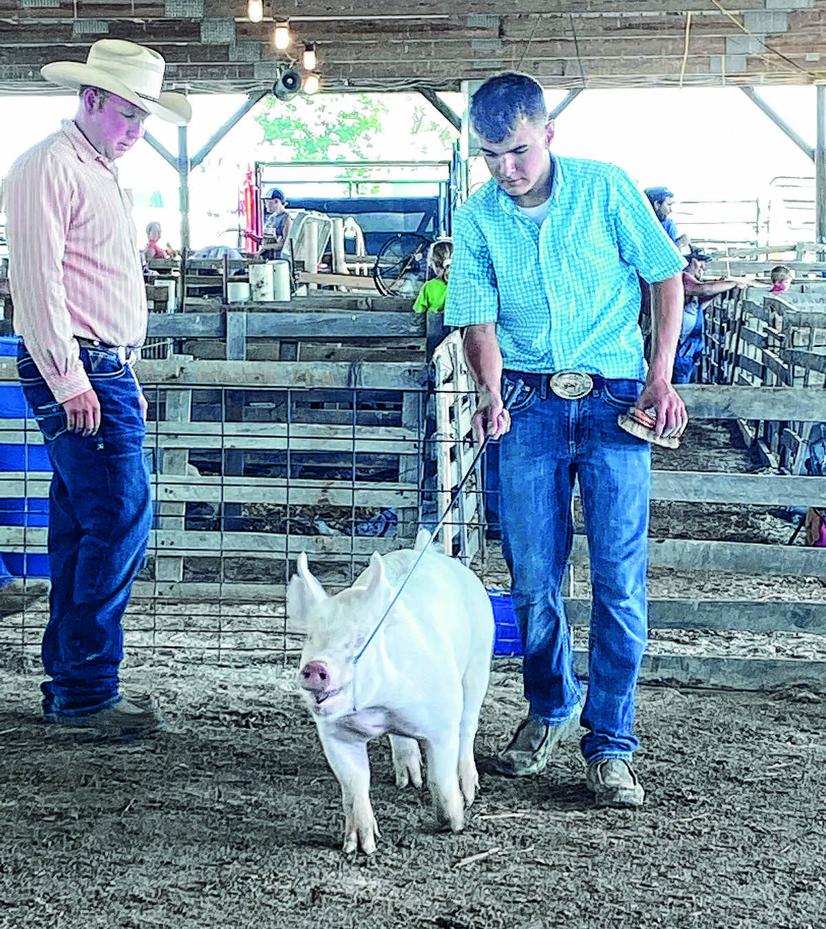 Two members of the Bluffs FFA chapter attended the Section 13 VoAg Fair earlier this year. Colton Coats and Zack Evans traveled to Carrollton to show at the Greene County Fairgrounds. Evans, who keeps his supervised agricultural experience focused on swine production, showed his pigs. He won grand champion with his January gilt.
