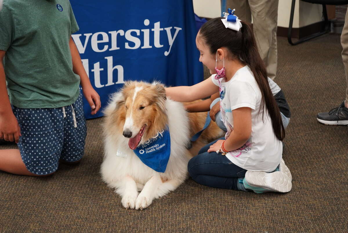 Laddie has been a part of University Health's Pet Therapy program since 2015. 