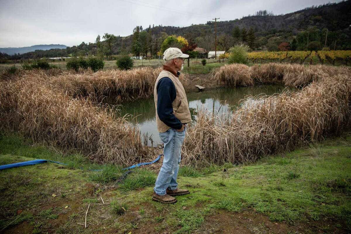 Kevin Klotter stands near an irrigation pond with water he uses to irrigate his grapes in Redwood Valley. Klotter, a retired chemist turned grape grower, has been redirecting water runoff from his workshop’s roof into a nearby tank that feeds into the pond. He’s trying to maximize water conservation.