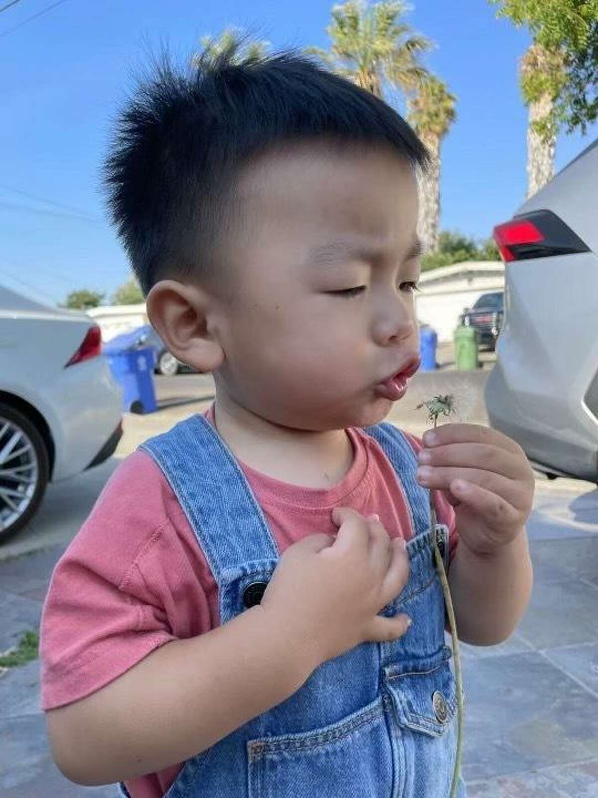 Jasper Wu, a 23-month-old toddler from Fremont, was killed by a stray bullet on Interstate 880 in Oakland, Calif.