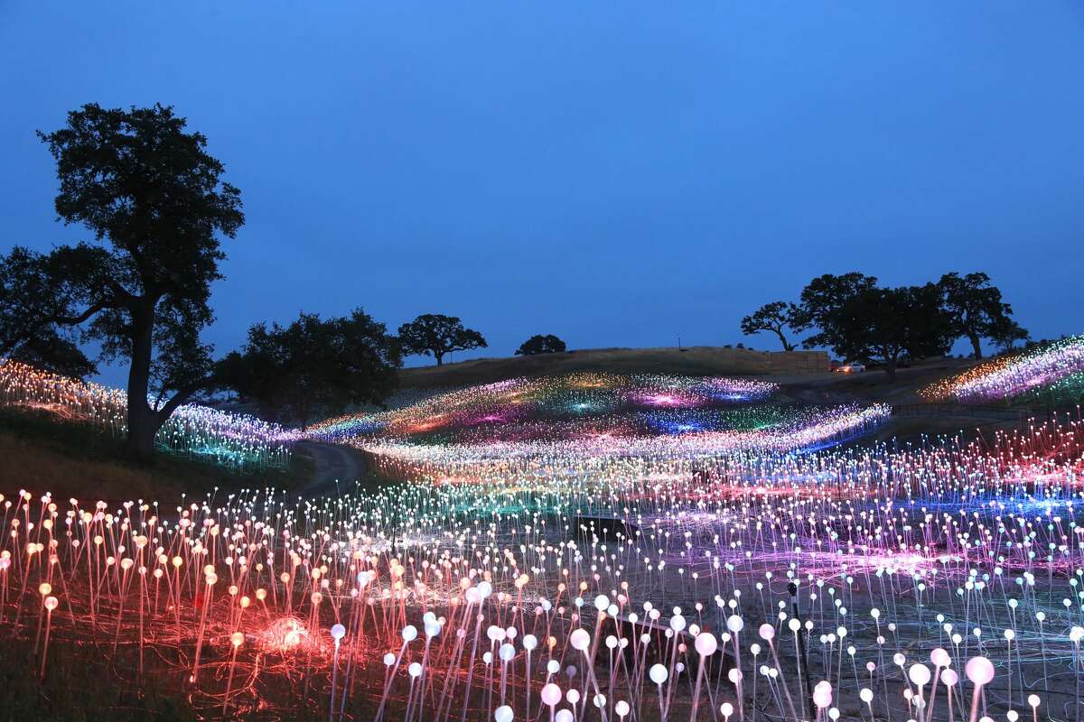 Nobody expected Sensorio Field of Light in Paso Robles to a