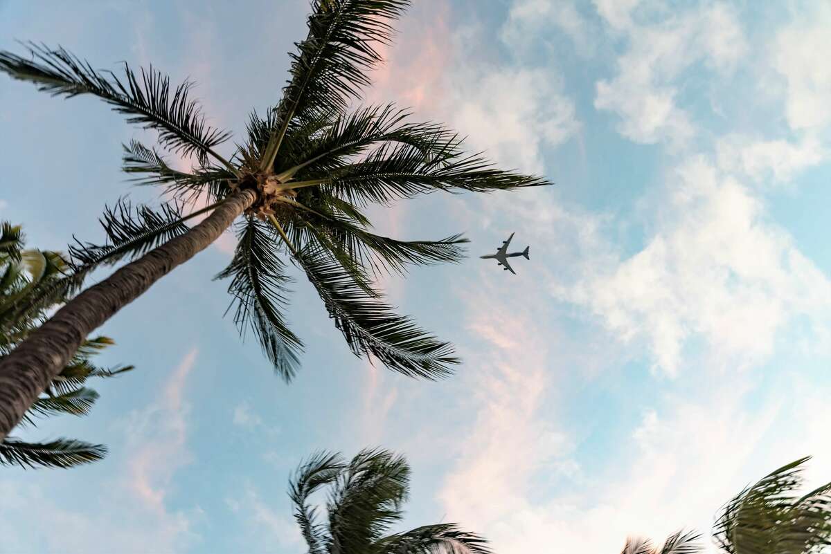 There's a $23 nonstop flight to Miami from Austin available next month.